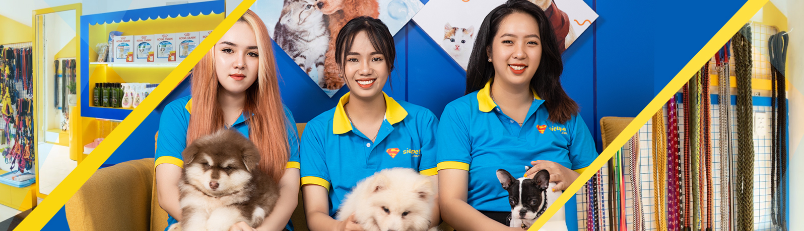 banner siêu pet shop
